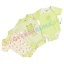 UTOLSÓ! - F.S. Baby 3 db-os rovid ujjú pamut body csomag - Happy Frog